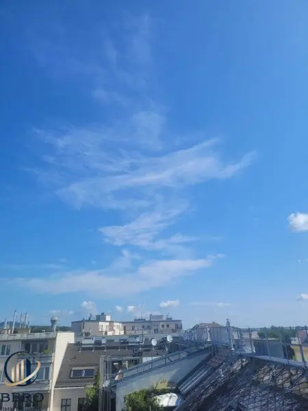 "Diese 5 Zimmer-Altbauwohnung mit sonniger Terrasse wartet genau auf SIE"