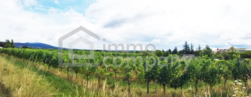 Besonderes Baugrundstück in Grünruhelage mit Fernblick in den Weinbergen