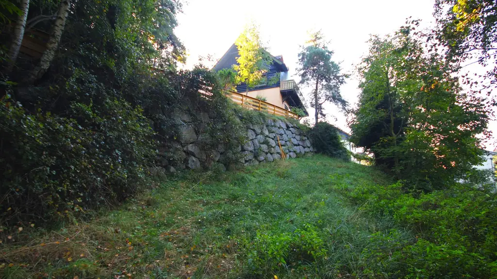 Tradition trifft Natur – Blockbau-Landhaus mit Sanierungsbedarf