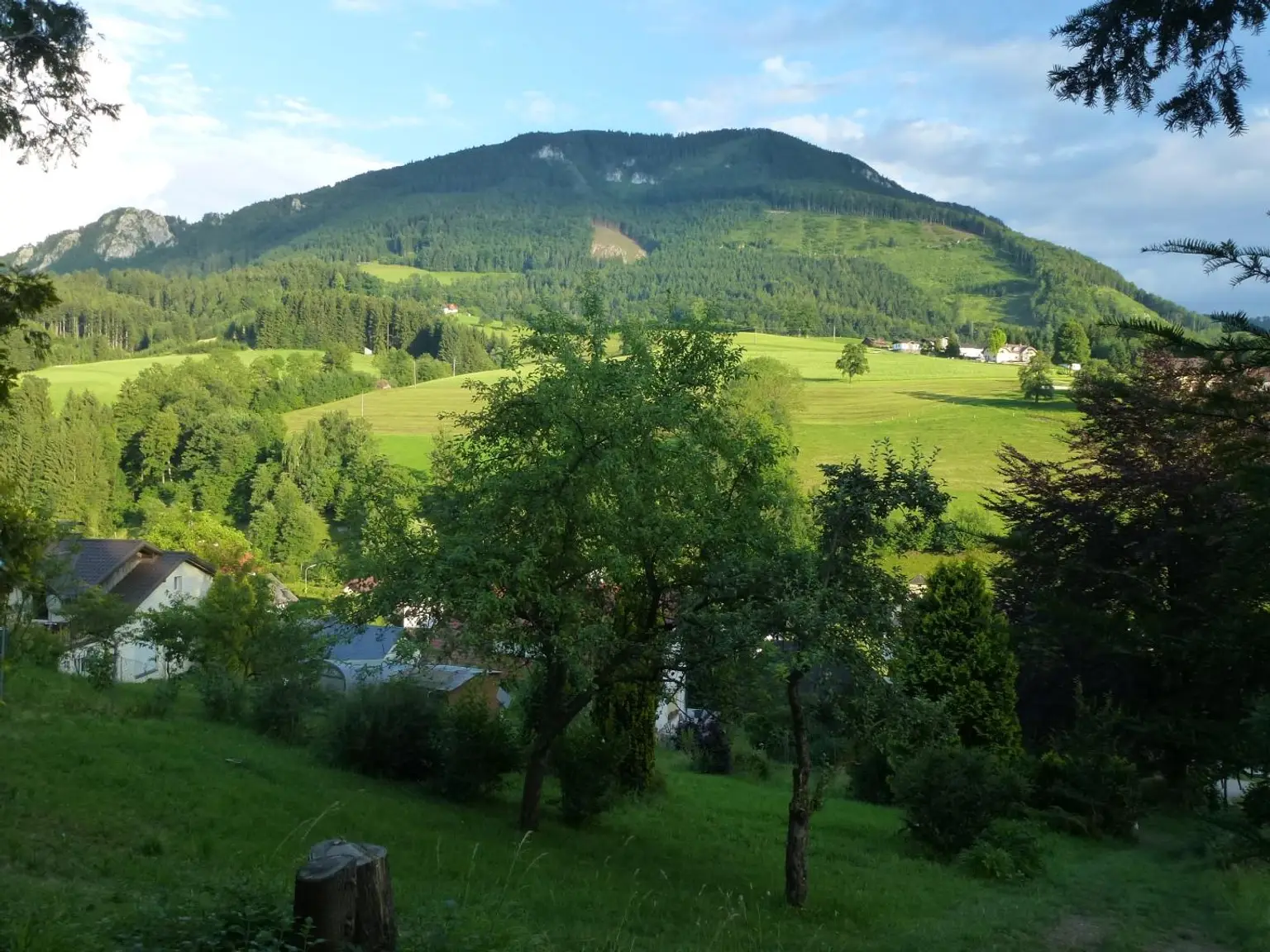 Aussicht vom Grundstück zum Prochenberg