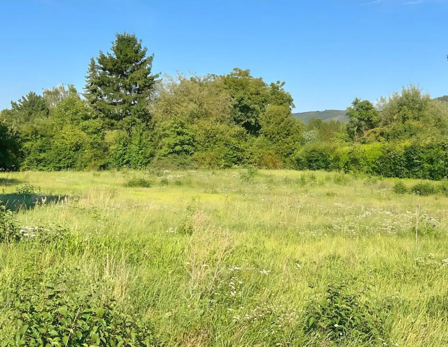 Sonniges Baugrundstück in Wolfpassing: 2.102m² für 989.000 € - Ihr Platz zum Leben! AUCH FÜR BAUTRÄGER INTERESSANT!