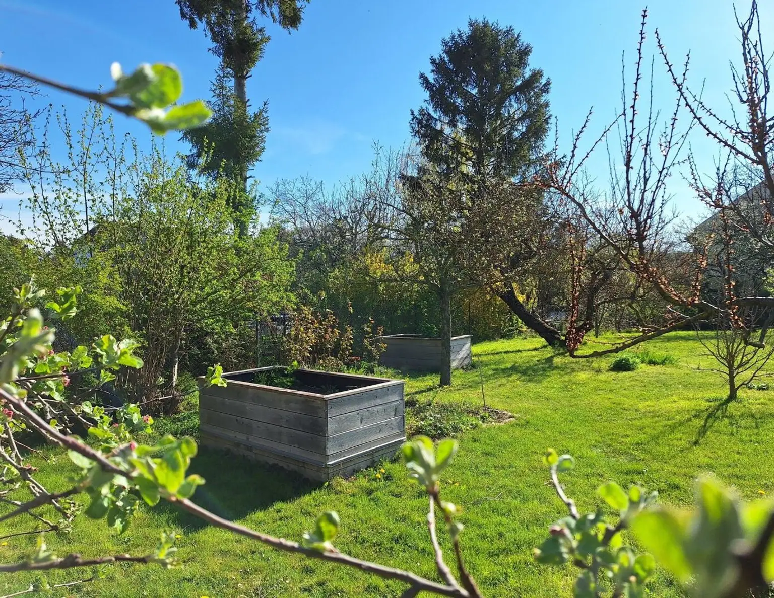 Großes Grundstück mit zwei Kaufoptionen (Teilungsentwurf)