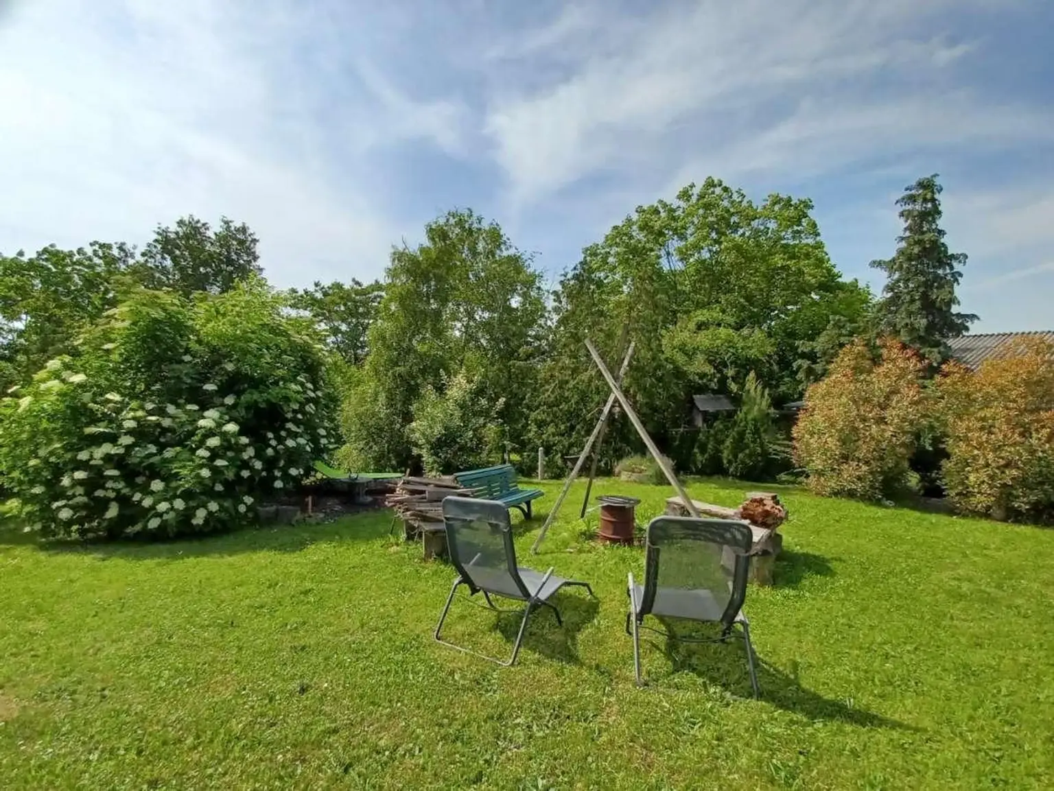 Garteneindrücke Sommer (1)