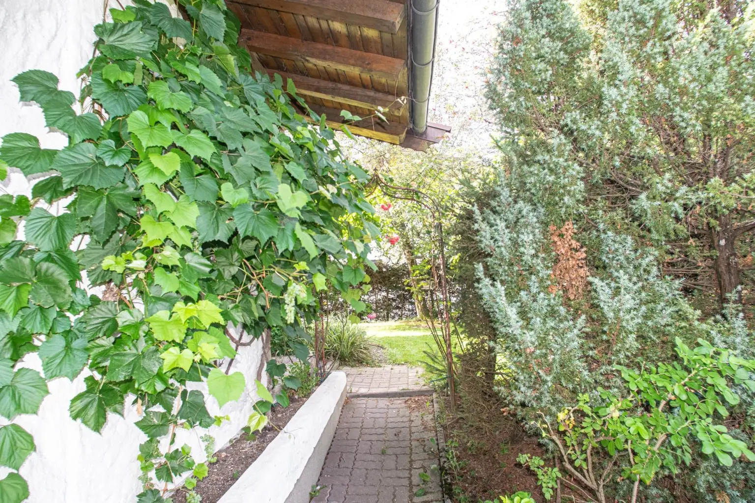 Baugrundstück mit Altbestand