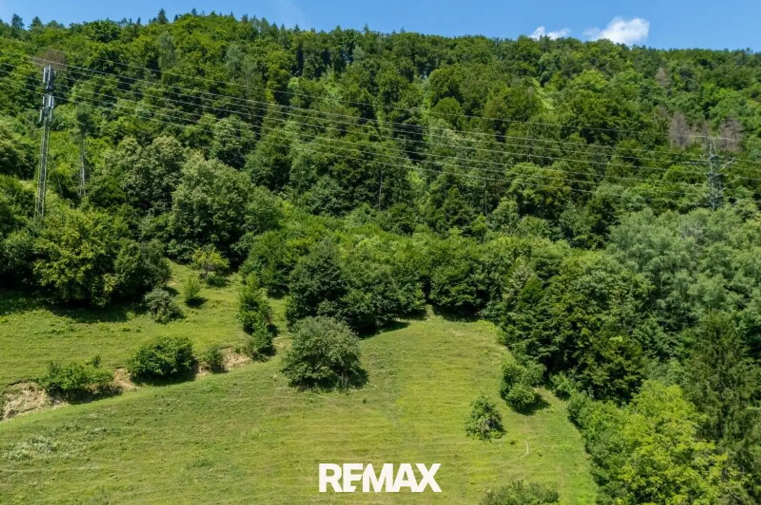 Waldfläche