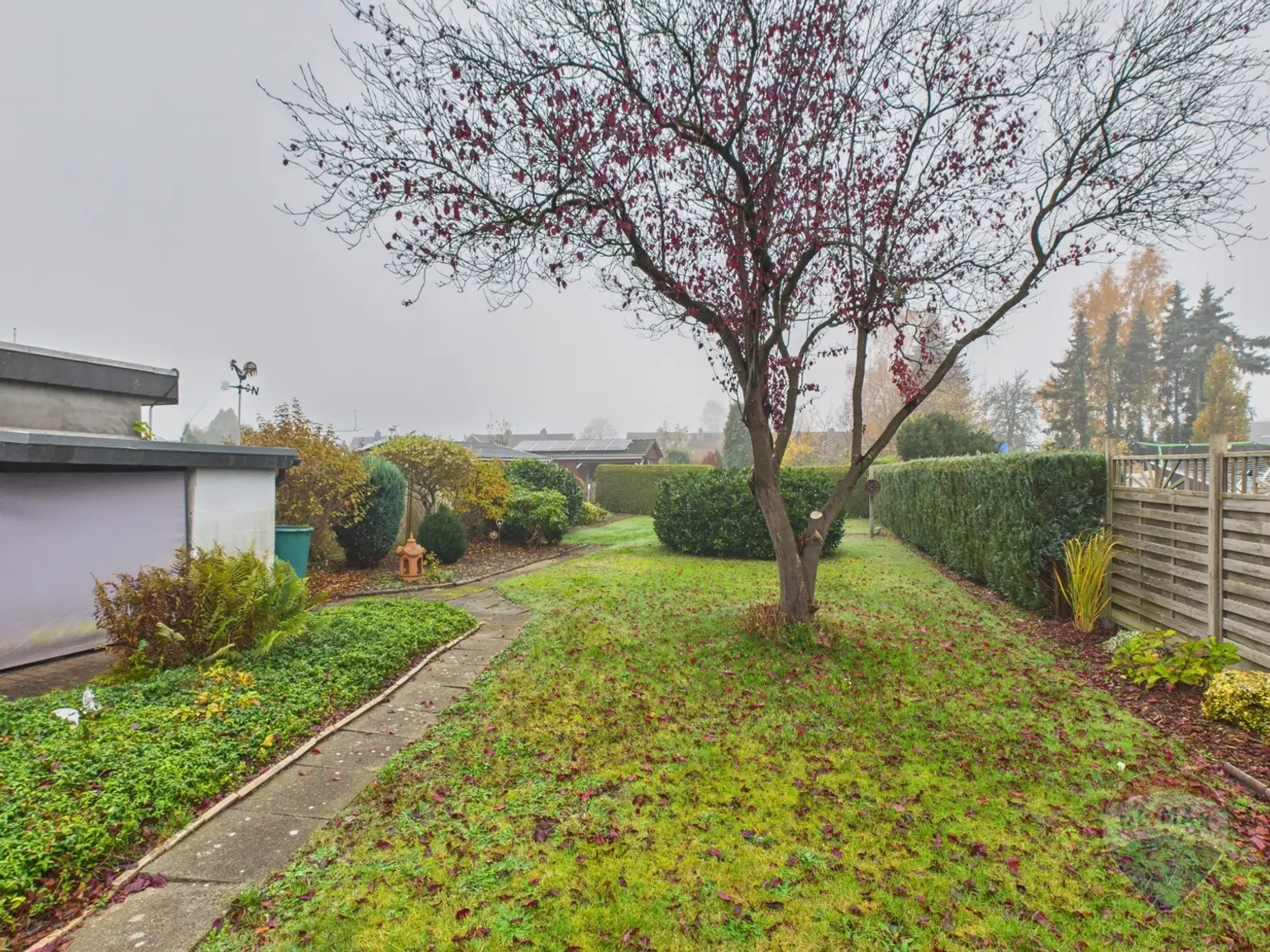 Vorderer Bereich im Garten