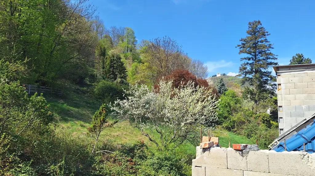 Edelrohbau-Villa, Herrschaftlicher Wohnsitz am Fuße des Kahlenberges an der Donau. Teilrestauriert entkernt und komplette Ausbauplanung.