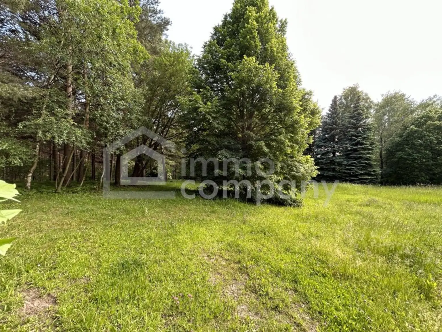 Ihre Gelegenheit! Grundstück in Traumlage mit Waldbestand!