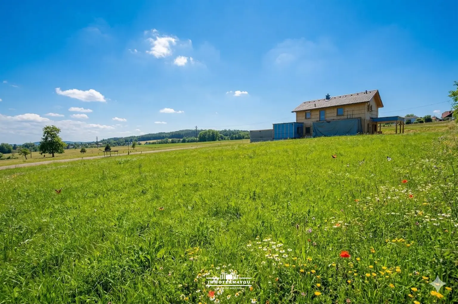 Grundstück im Sommer 01