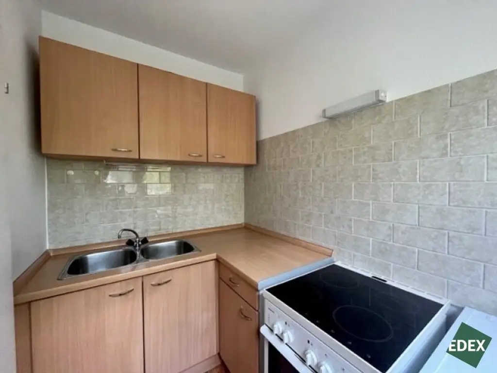 Charmante 1-Zimmer-Wohnung mit Blick ins Grüne in Wien Brigittenau