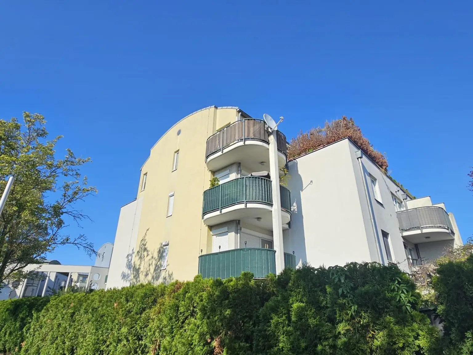 grüne Ruhelage, großer Balkon, sehr angenehme Wohngegend