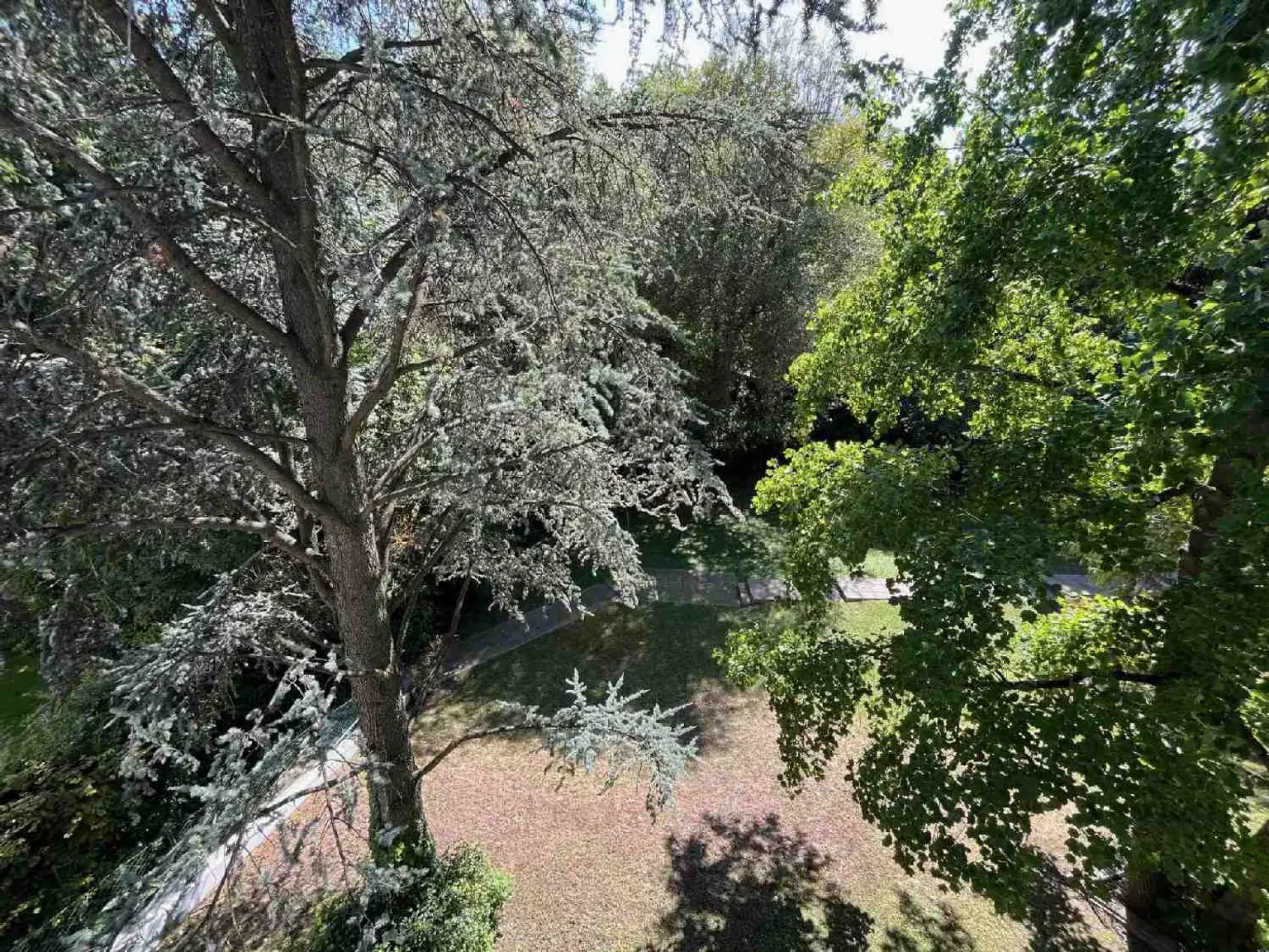 Exklusive 4  Zimmer Wohnung in Neustift am Walde