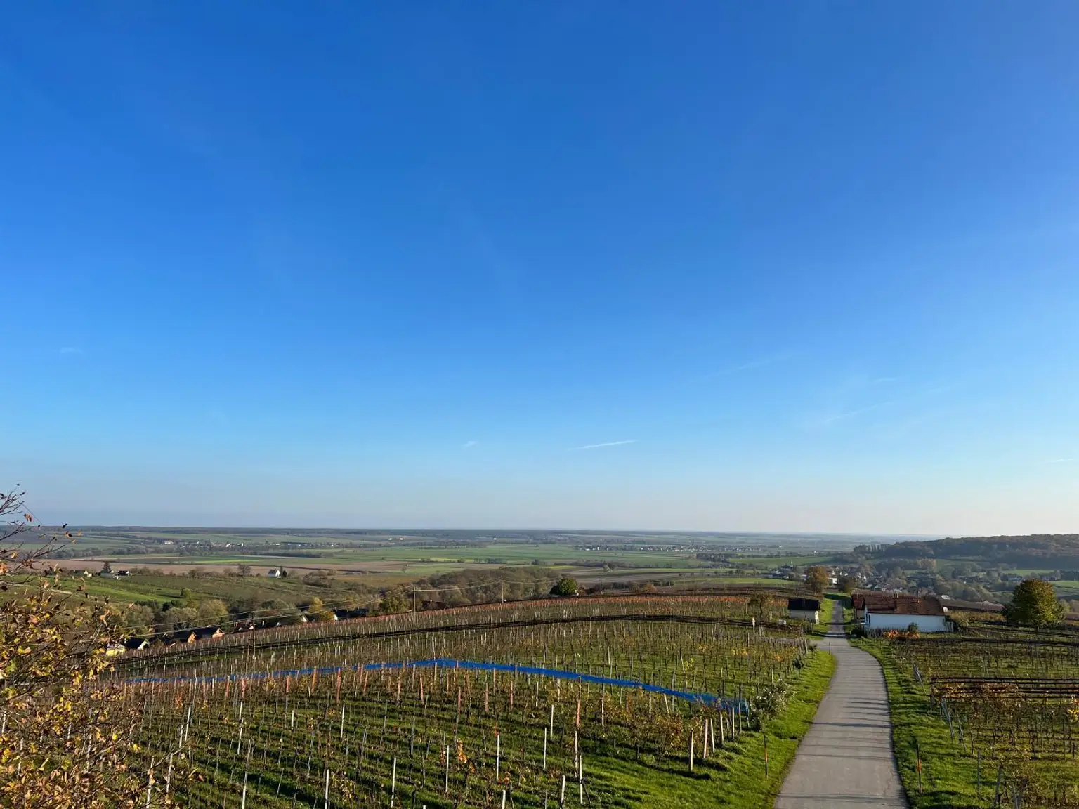 Panorama