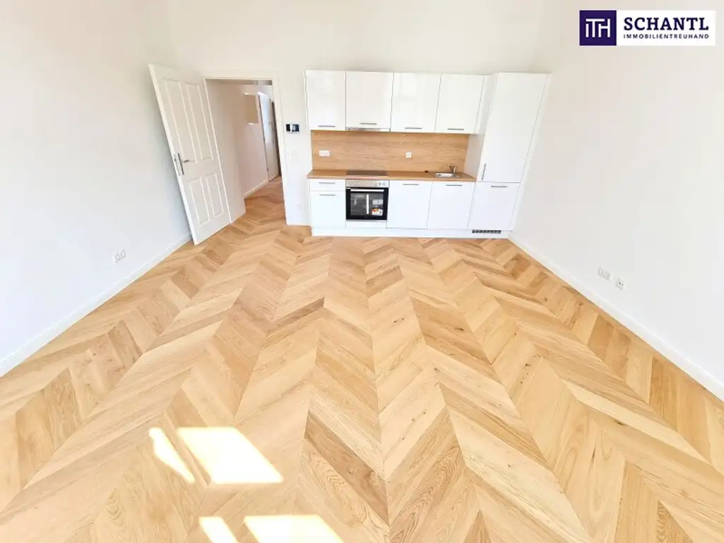 Viel Licht + Viel Raum + Viel Lebensfreude - Ihre Chance auf den sanierten Wohntraum! Frisch sanierte 2-Zimmer im Traumhaus in TOP Lage in 1150 Wien! Beste Infrastruktur und Anbindung!
