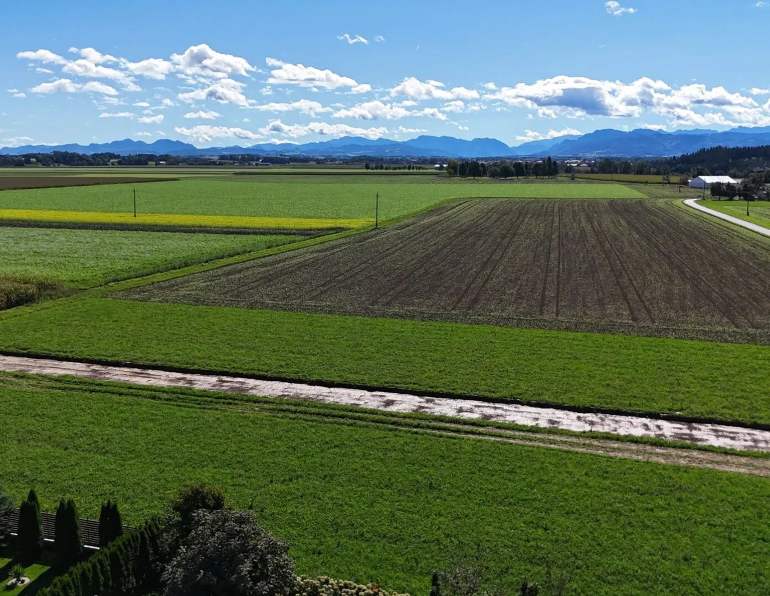 Baugrundstück mit südseitiger Ausrichtung im Grünen | Steinerkirchen Frohnhofen | GST-Nr. 1100/6