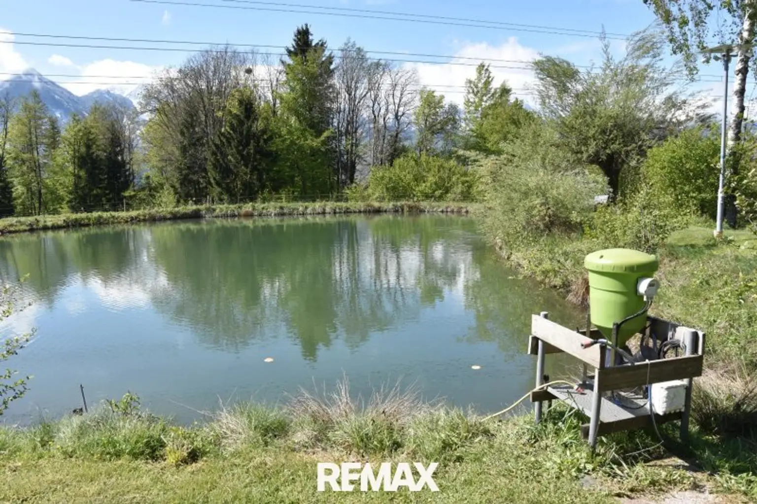 Teich mit Futterautomat
