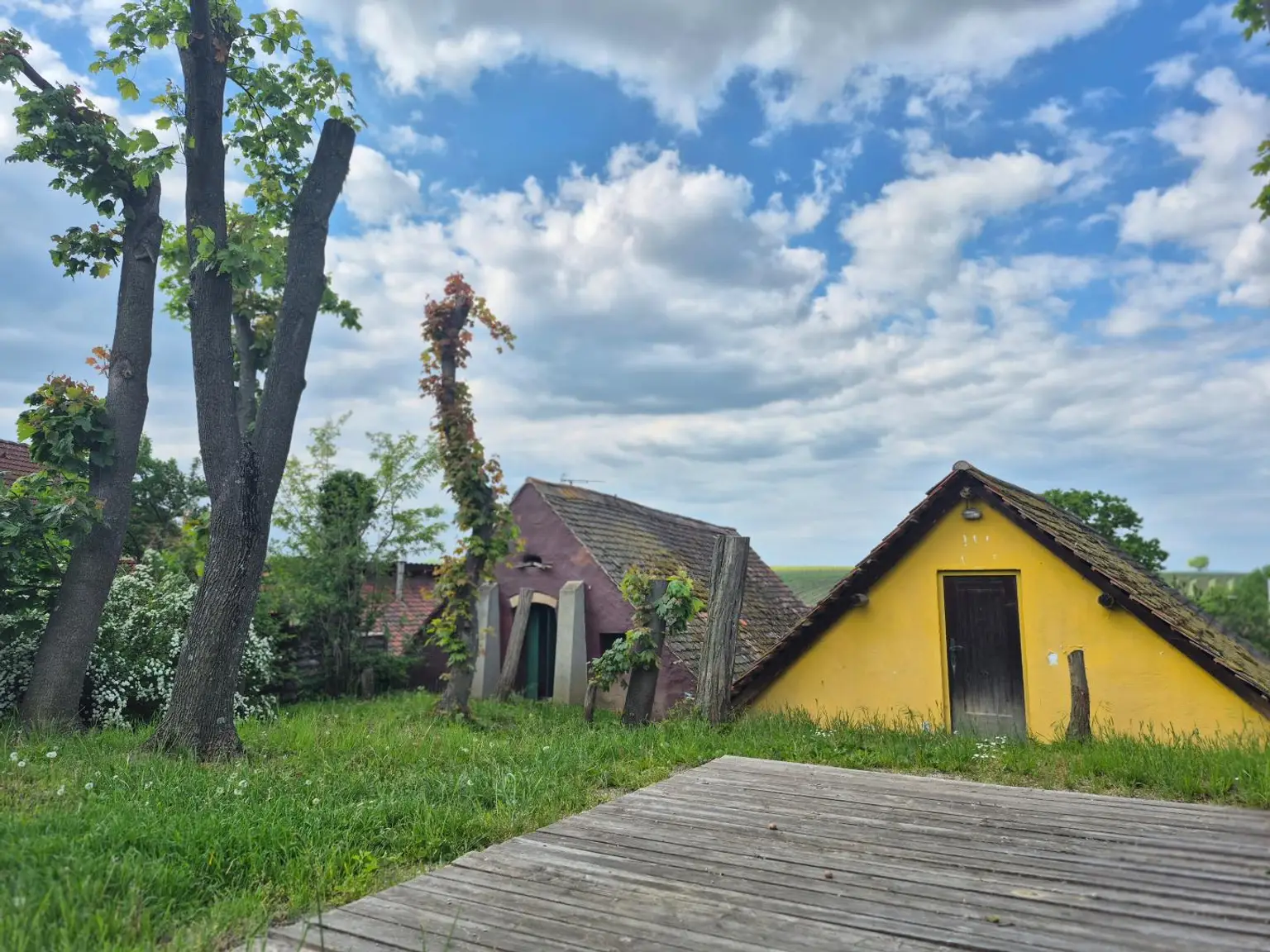 Aussen hinten Weinkeller 02 breit