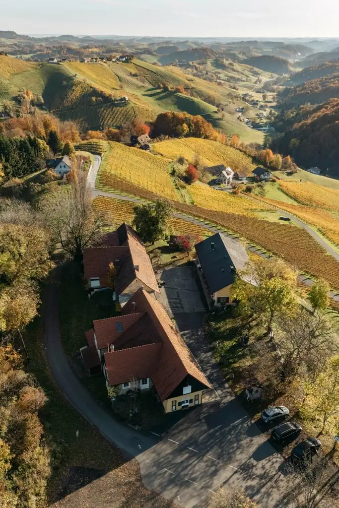 Buschenschank/Heuriger Eory zum Traubenkogel zu verkaufen!
