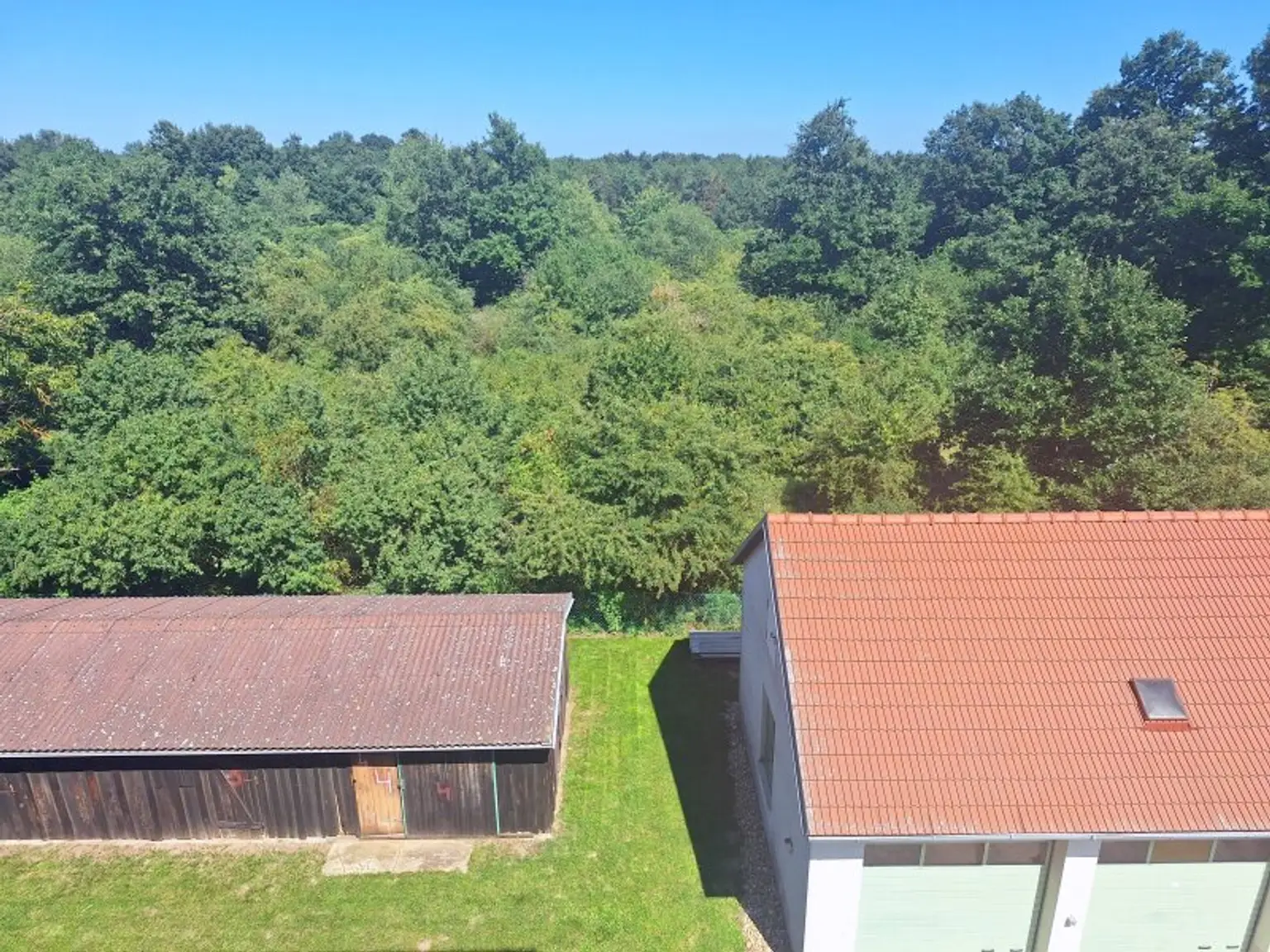 Eine helle Wohnung im Grünen!