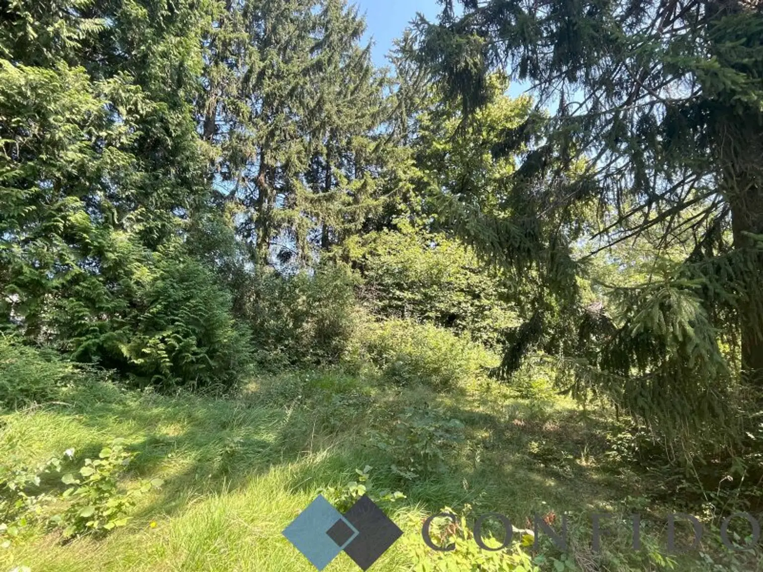 Rarität - Grundstücke in Ruhelage an der Grenze Wiens zu verkaufen!