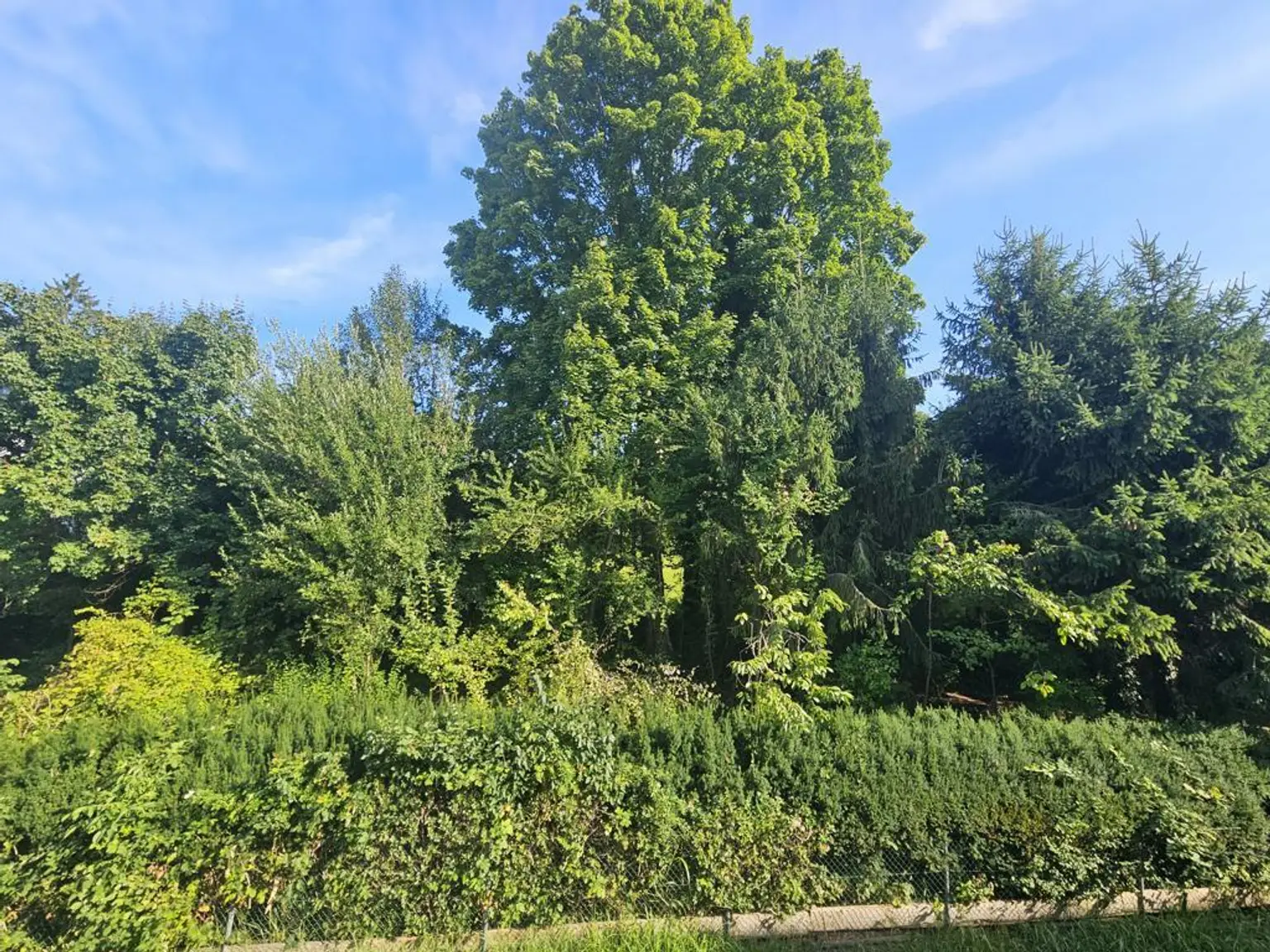 Gmunden: Ruhig gelegene 2-Zimmer Wohnung in der Lerchenfeldgasse!
