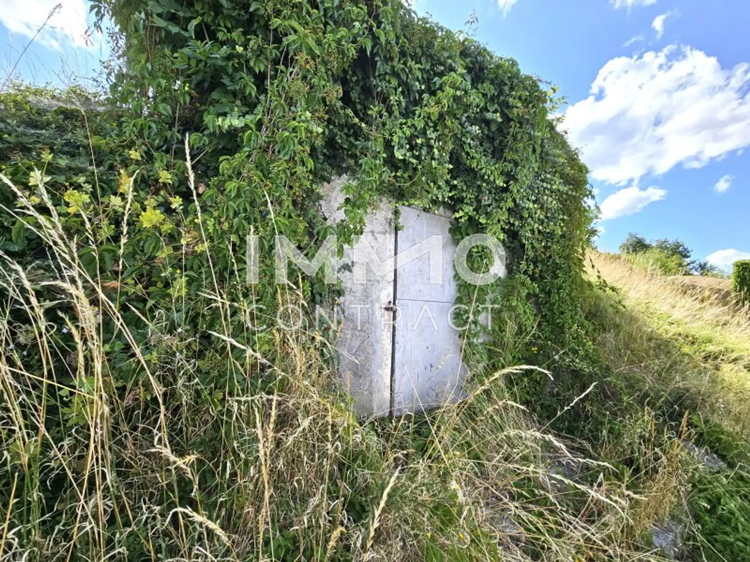 Erdkeller