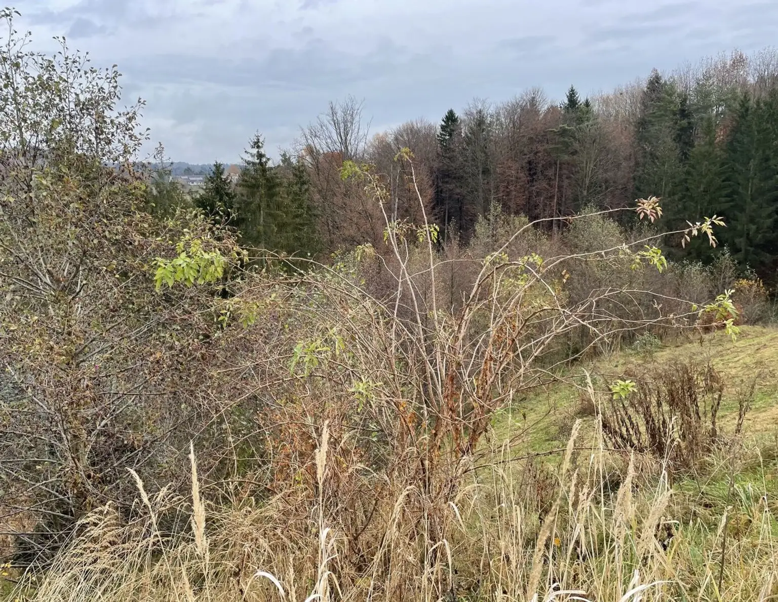 Grundstück, Schemerlhöhe, Interessante Lage, Anleger, Bauträger, sehr gute Infrastruktur 6142 m²