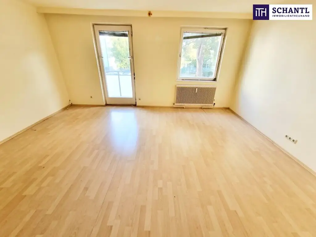 Absolute Grün- und Ruhelage! Gebraucht. Gepflegt. Geliebt! Perfekt aufgeteilte 3-Zimmer + separate Küche / 2 Balkone / Viele Möglichkeiten! Ruhig wohnen, gut leben!