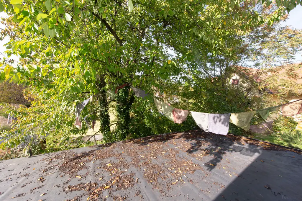 Licht, Leben & Landschaft – Ein Haus mit Herz in Thal bei Graz