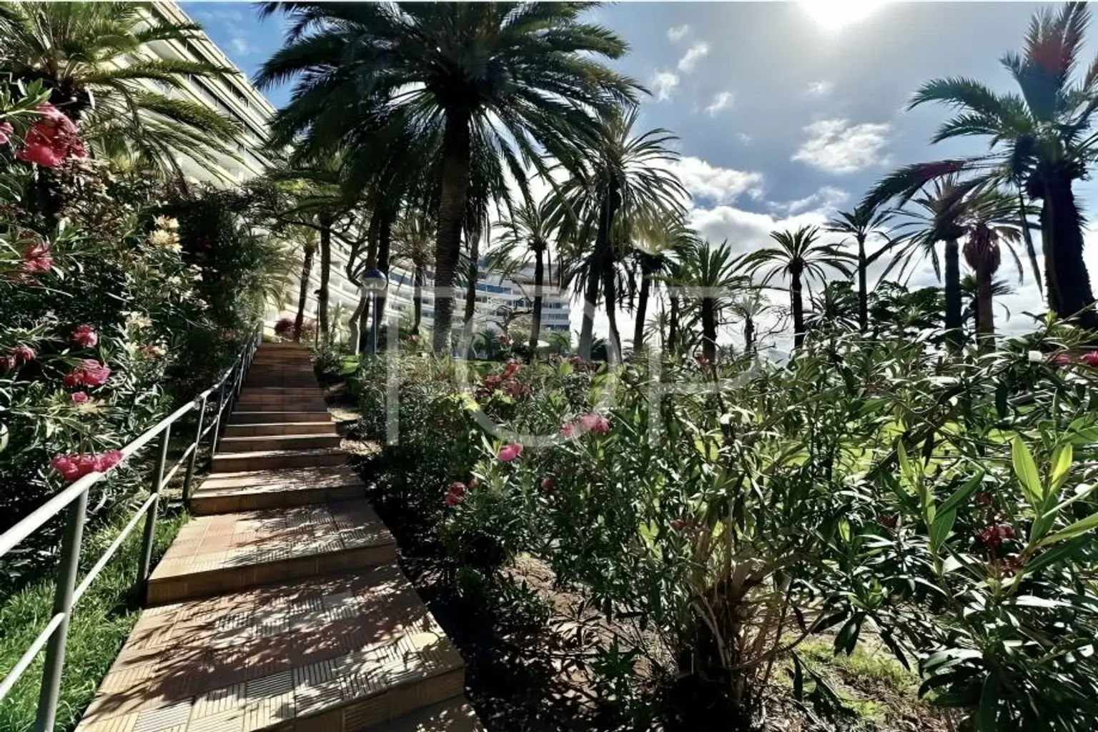 Apartment-Mar-Azul-xxx-Teneriffa10