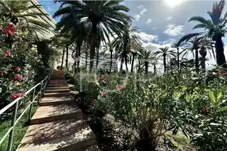 Apartment-Mar-Azul-xxx-Teneriffa10