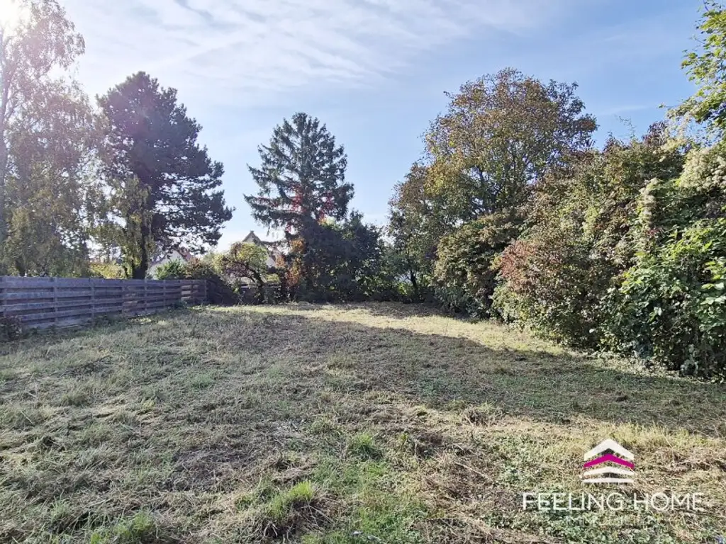 Verwirklichen Sie Ihre Wohnträume – vis-à-vis vom Weinberg und nahe dem Marchfeldkanal in Stadtrandlage!