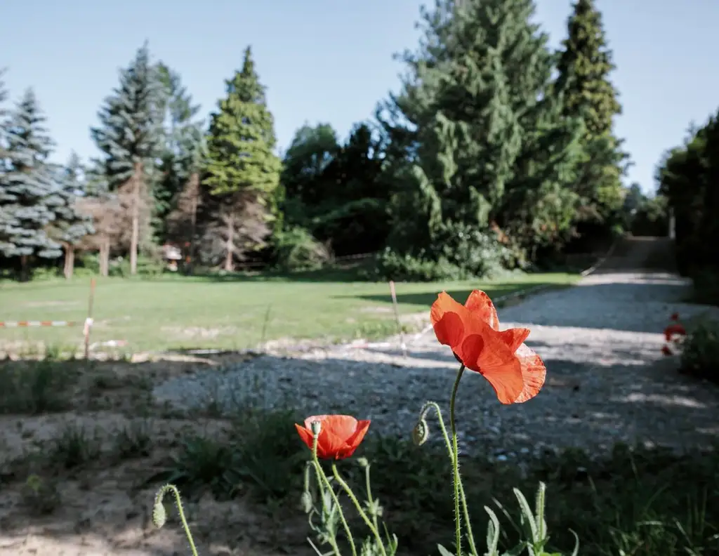 Sonniges Grundstück in ruhiger Zentrumslage von Tullnerbach - PROVISIONSFREI