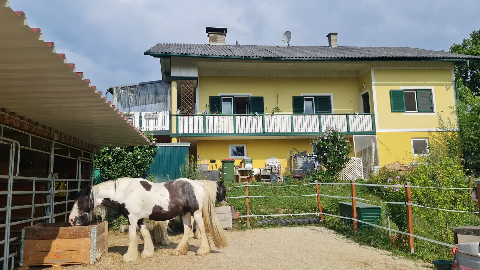 Deine Tiere und Du - bei Feldbach