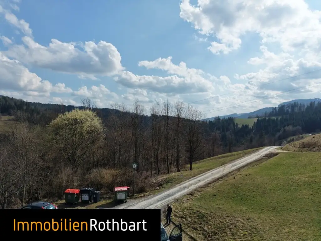 Wald mit Wiese und Zinshaus!