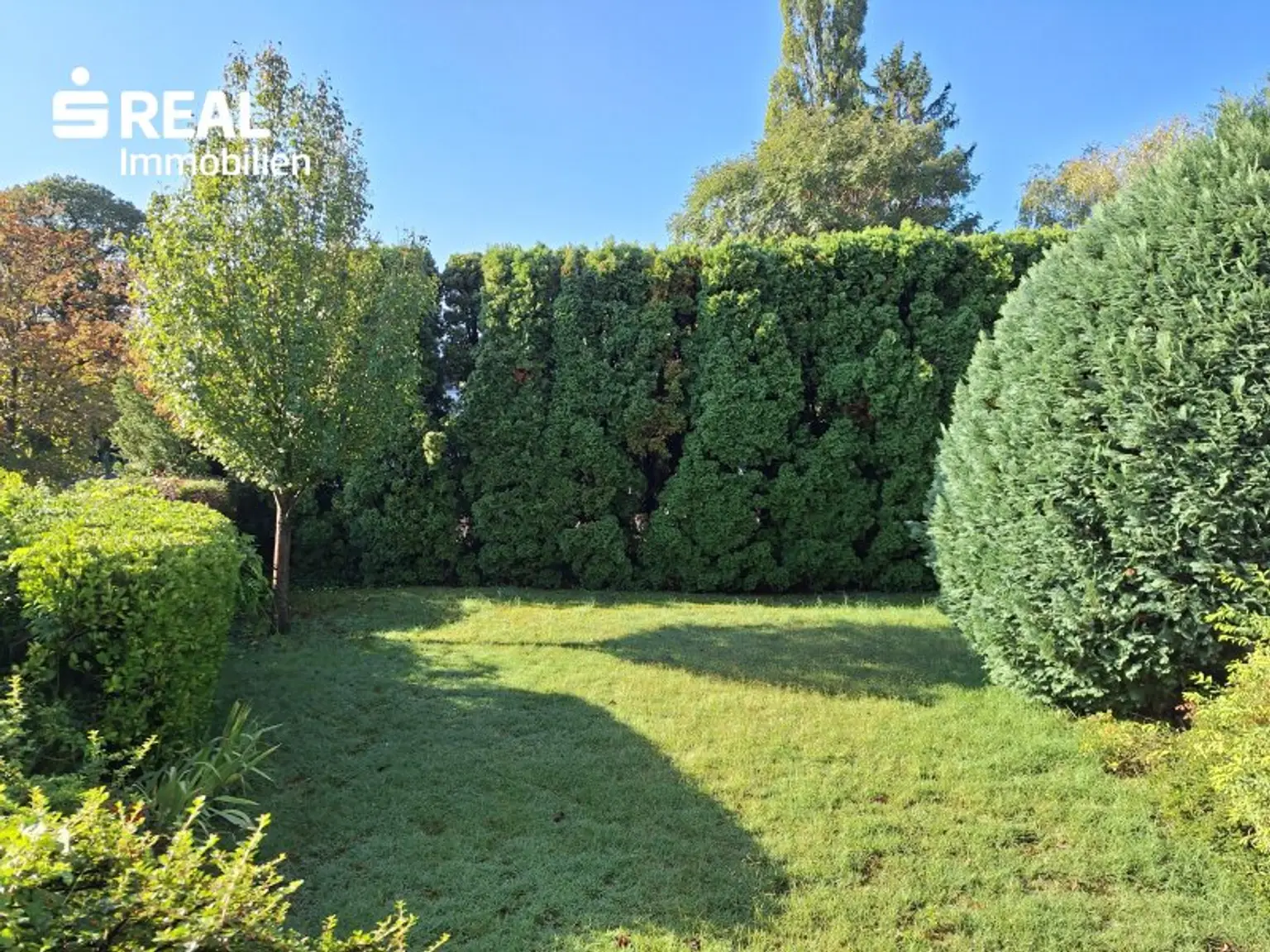 Gemeinschaftsgarten