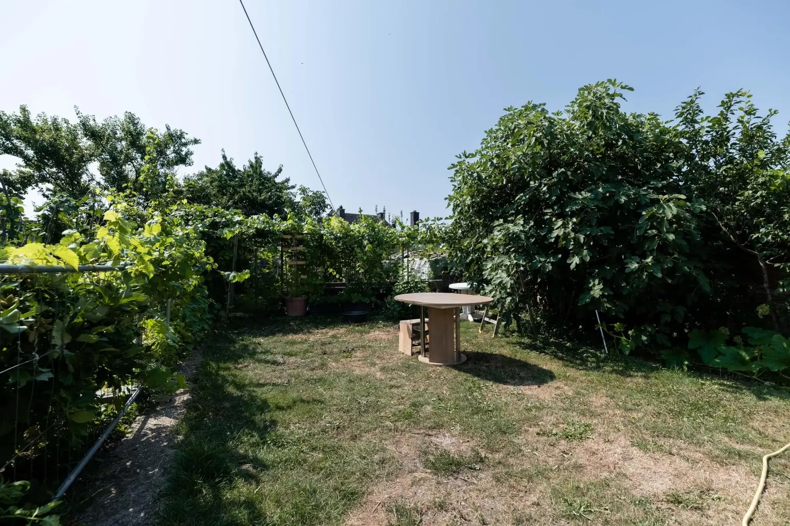 23 Garten