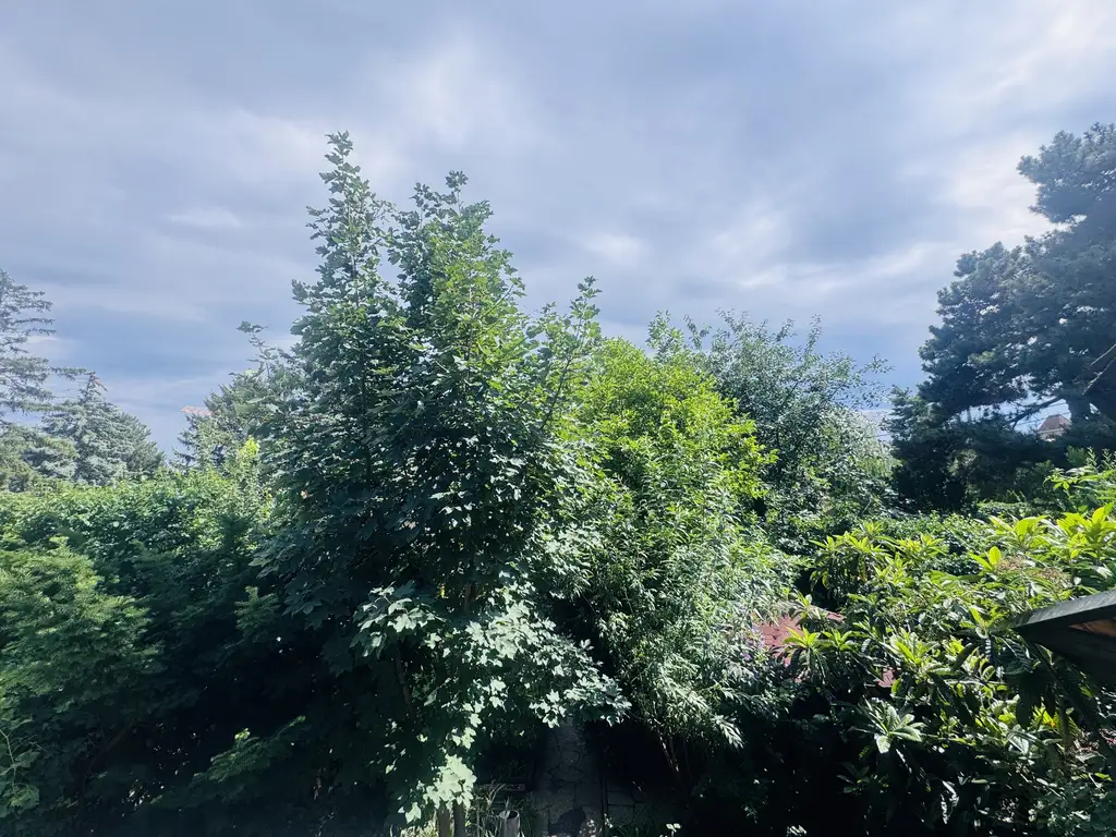 IHR RÜCKZUGSORT AN DER ALTEN DONAU - CHARMANTES HAUS AUF EIGENGRUND