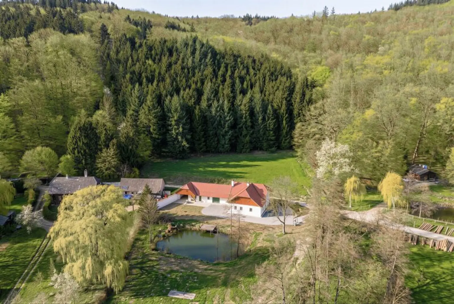 Sonnige Lage am Waldrand