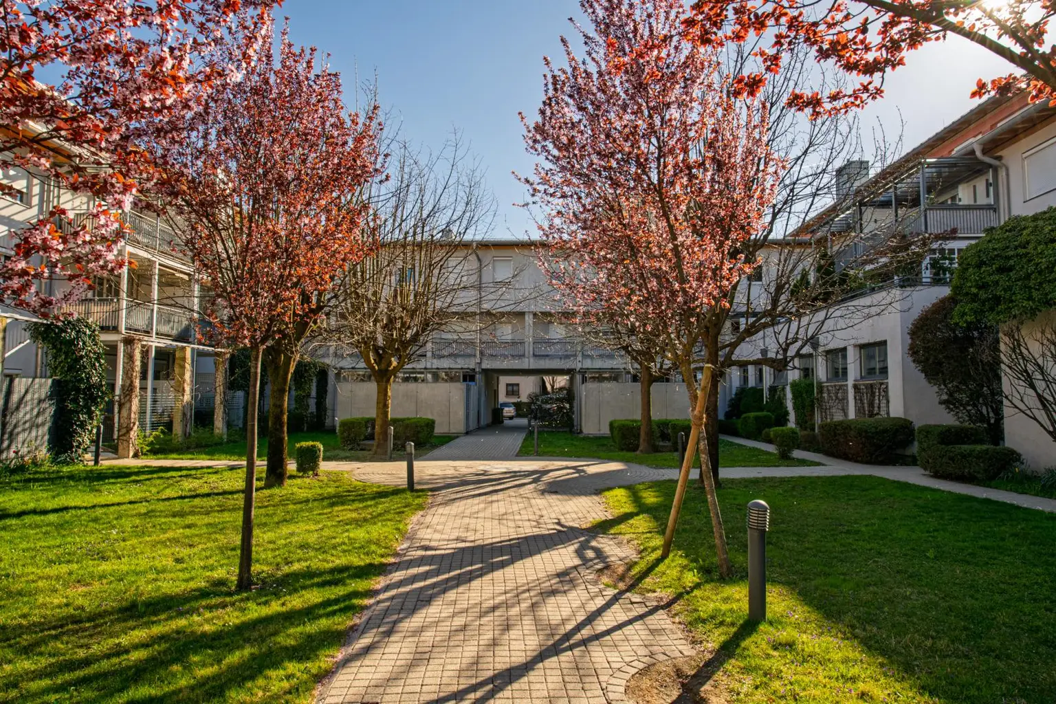 Innenhof mit allgemein Garten