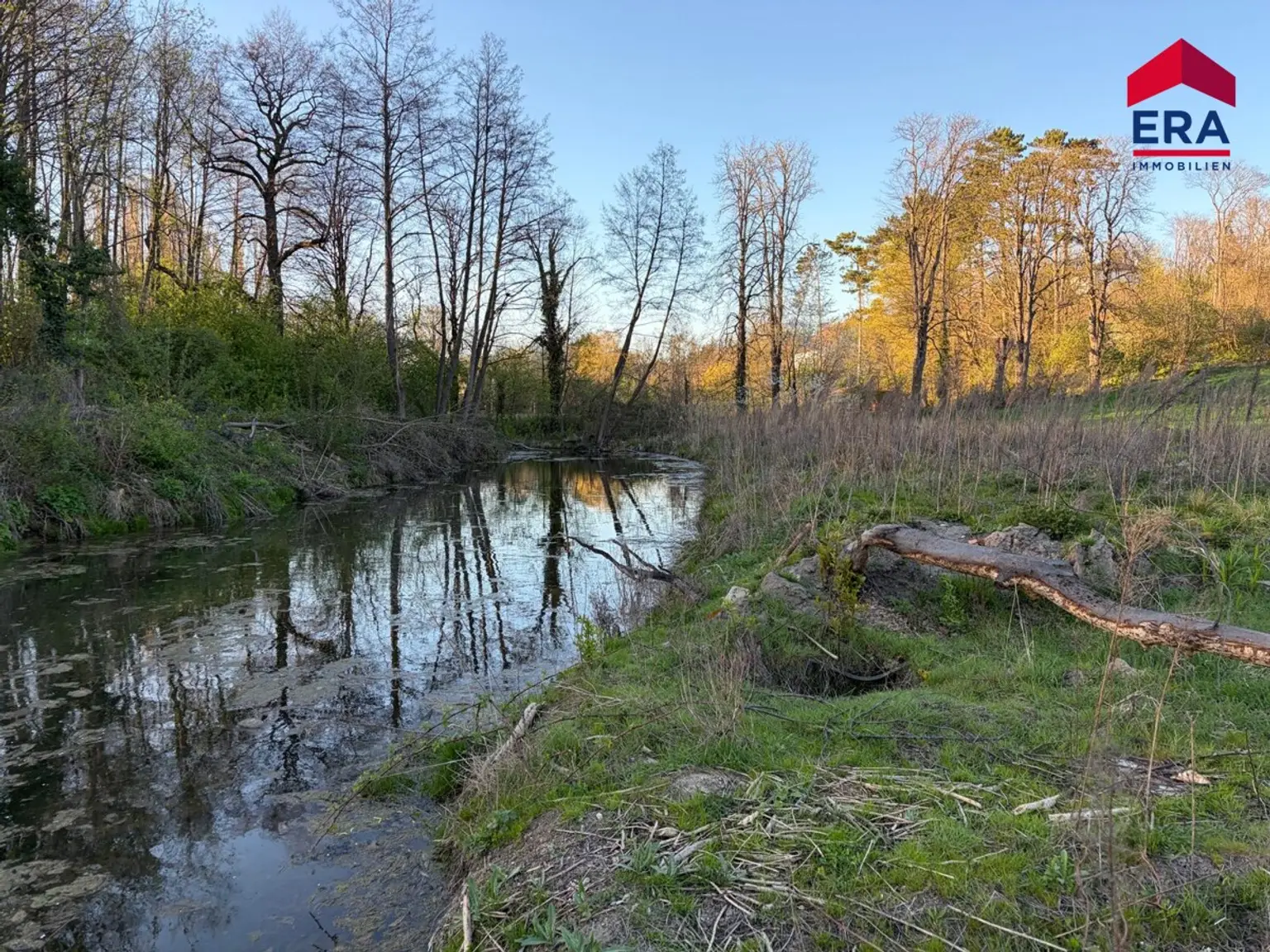 Exklusives Freizeitgrundstück in absoluter Grünruhelage – Natur, Weite & vielfältiges Potenzial in Gaweinstal
