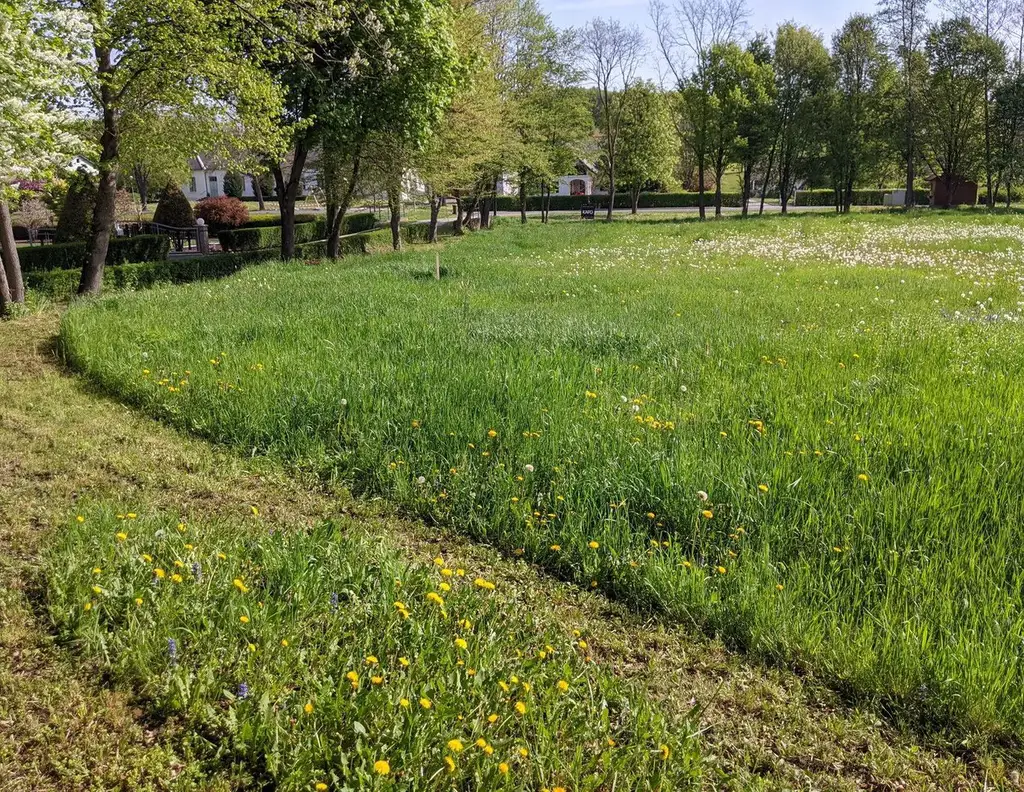 Privat: Sonniges Baugrundstück in Südburgenland