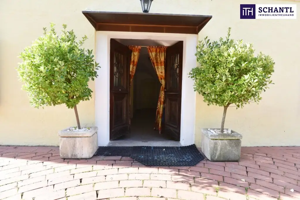 MÄRCHENHAFTE Wohnung im SCHLOSS inklusive Nutzung des SCHLOSSGARTENS! Ab sofort verfügbar!