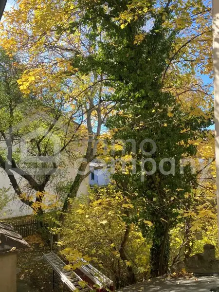 Altbau trifft Eleganz – 5-Zimmer-Wohntraum mit Charme und Stil