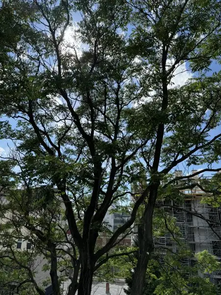 Moderne 3-Zimmer-Wohnung mit bewilligtem Balkon im Herzen des 9. Bezirks