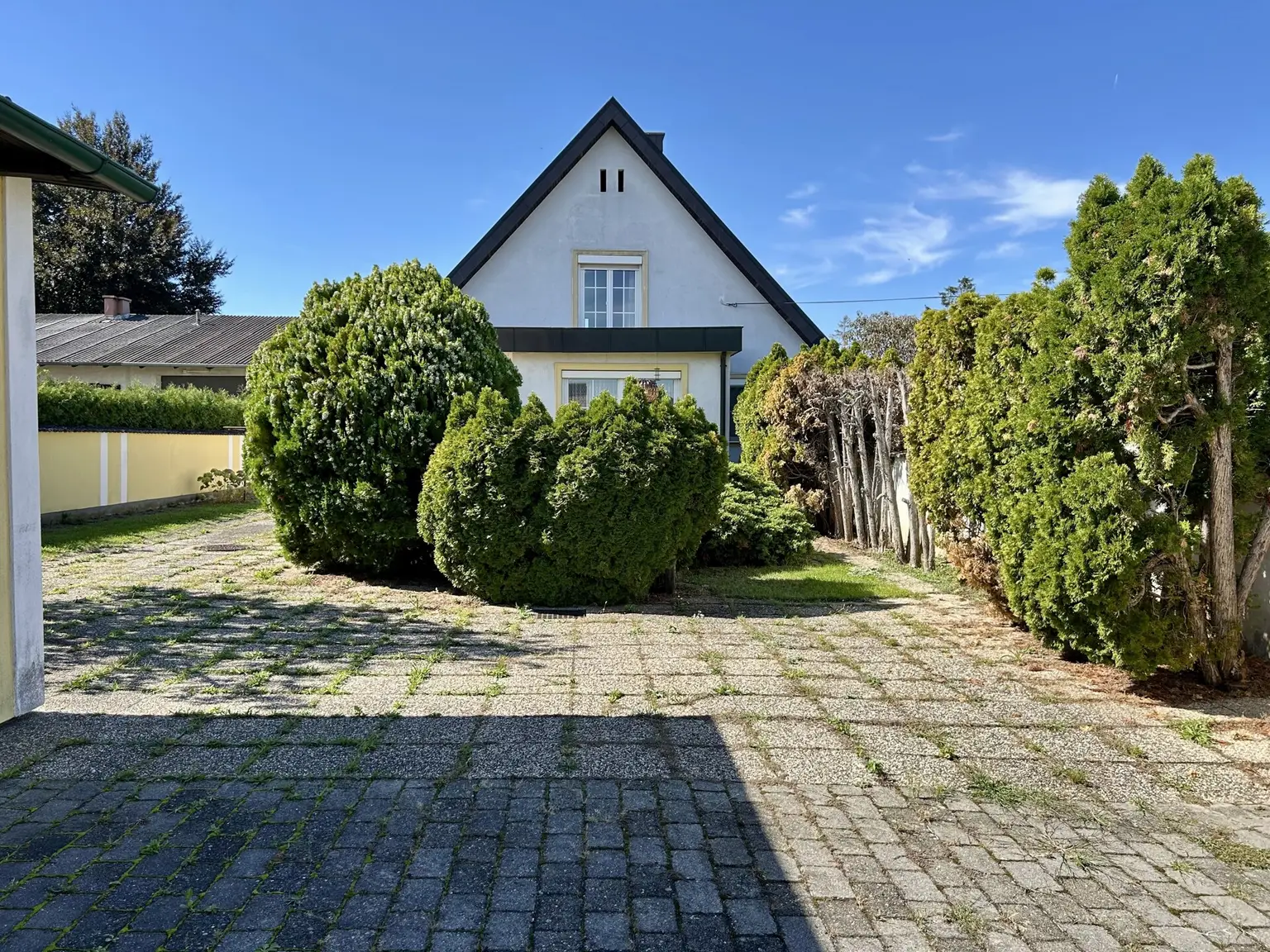 Haus