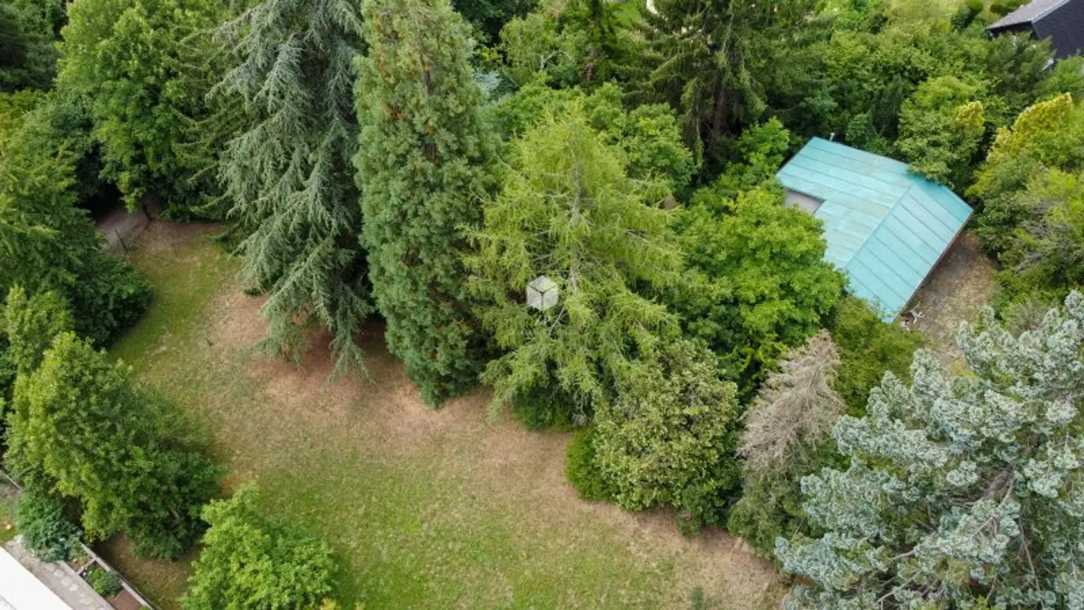 Charmantes Häuschen in Grünlage mit Terrasse – Döbling Neustift am Walde – Max. 1,5 Jahre