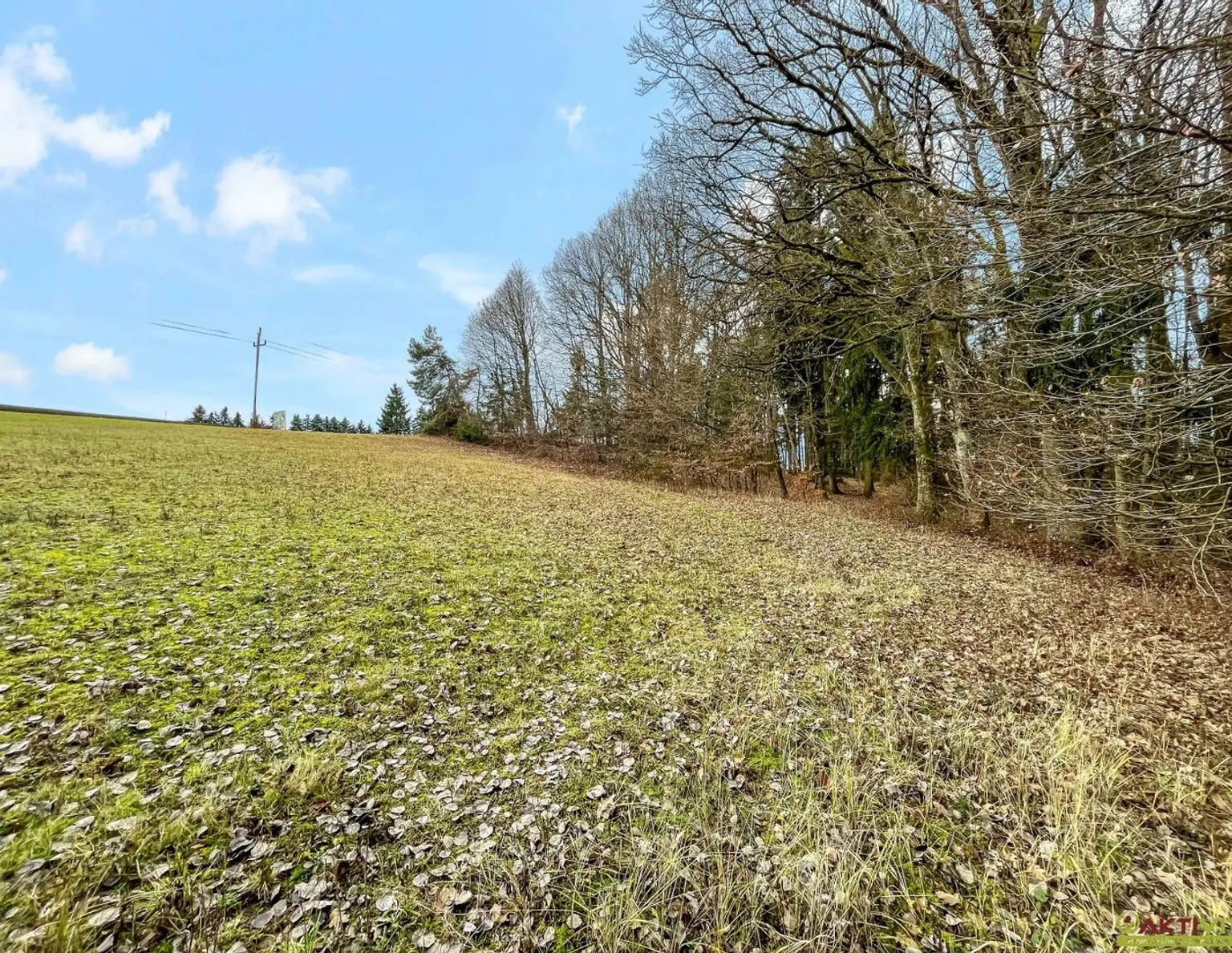 Großer Wohn-Baugrund in erhöhter Lage. - Freiland-Anteil mit Potential zur Widmung. - Vielfältige Möglichkeiten.