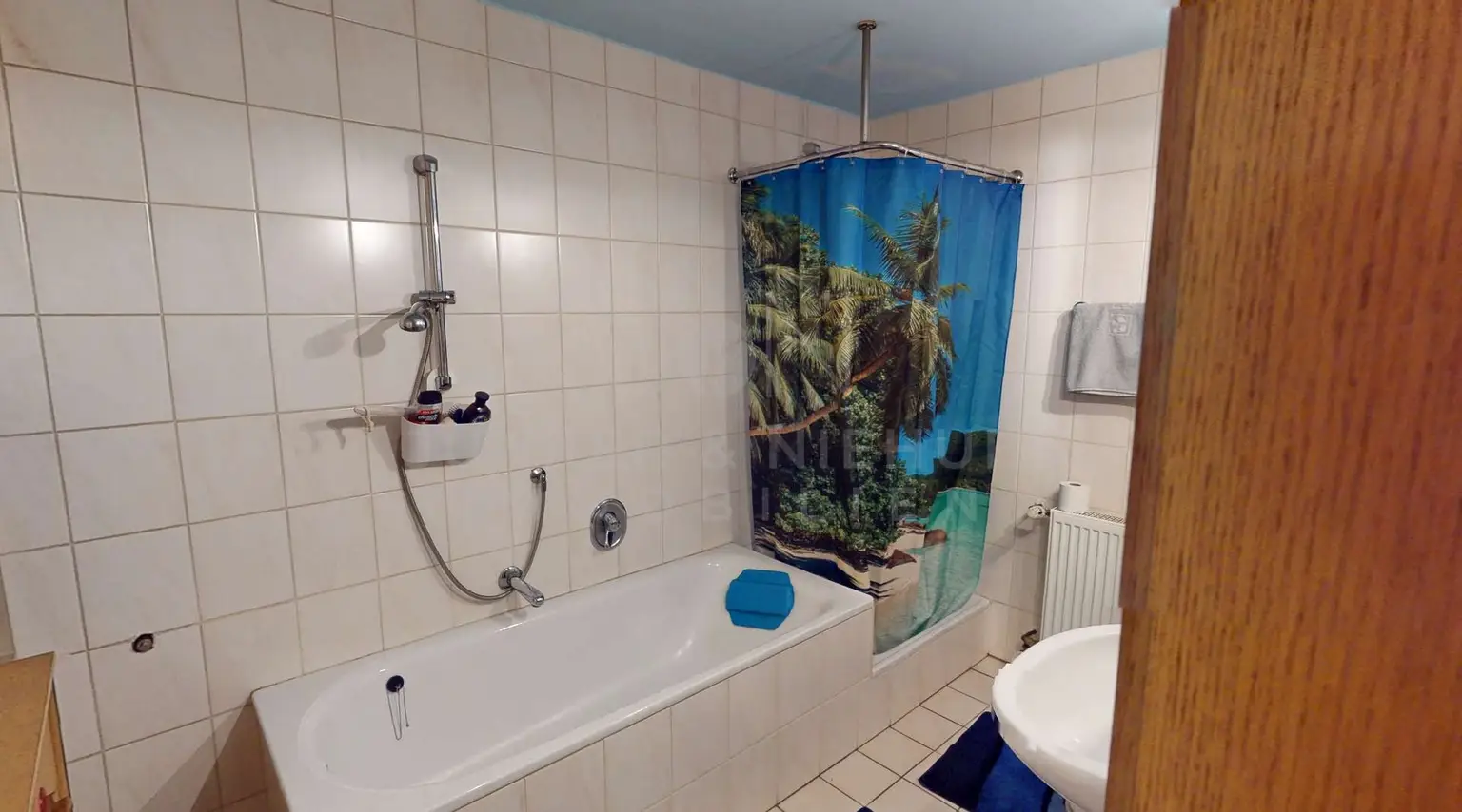 Bad mit Dusche u. Wanne EG