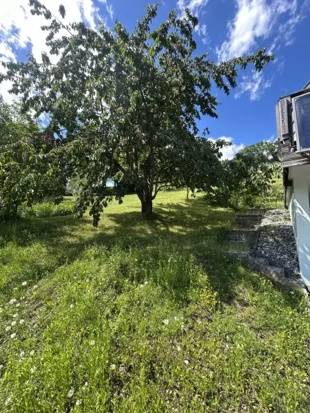 Seltenes Thoma Holz 100 Haus mit Hanfdämmung und Lehmputz mit Wand und Bodenheizung - zu verkaufen für € 499 000.-
